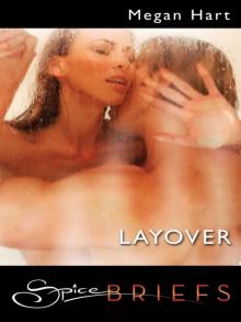      Layover