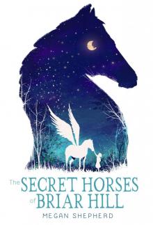      The Secret Horses of Briar Hill