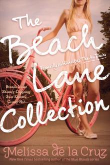      The Beach Lane Collection