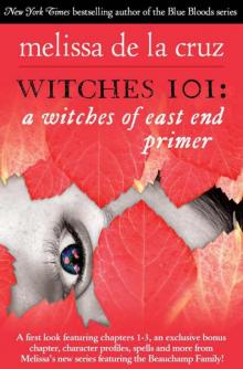      Witches 101: A Witches of East End Primer