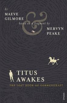      The Gormenghast Trilogy: Titus Groan/Gormenghast/Titus Alone