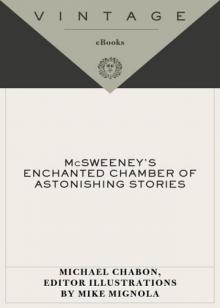      McSweeney's Enchanted Chamber of Astonishing Stories