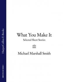      What You Make It: A Book of Short Stories