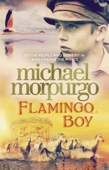      Flamingo Boy