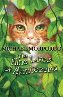      The Nine Lives of Montezuma