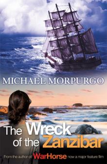      The Wreck of the Zanzibar