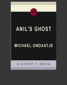      Anil's Ghost