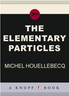     The Elementary Particles