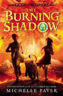      The Burning Shadow