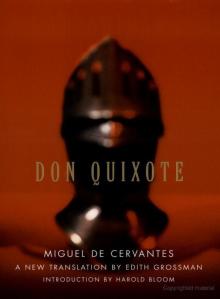      Don Quixote