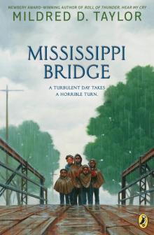      Mississippi Bridge