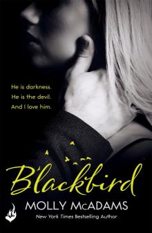      Blackbird