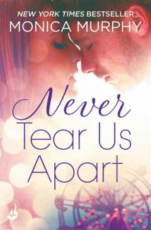      Never Tear Us Apart (Never Tear Us Apart #1)