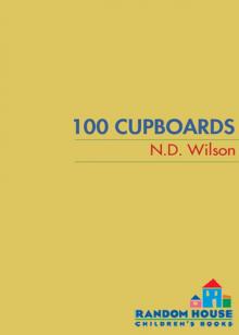      100 Cupboards