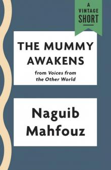      The Mummy Awakens