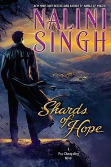      Shards of Hope