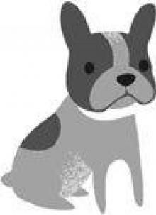      The Pursuit of Love