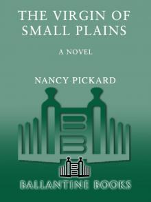      The Virgin of Small Plains