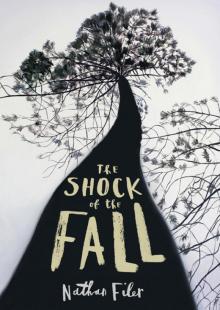      The Shock of the Fall