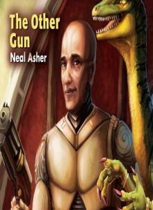      The Other Gun