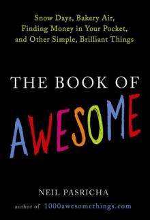      The Book of Awesome