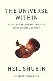      The Universe Within: Discovering the Common History of Rocks, Planets, and People