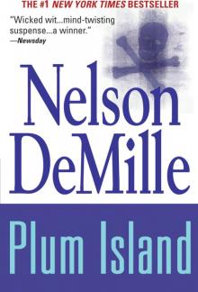      Plum Island
