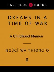      Dreams in a Time of War