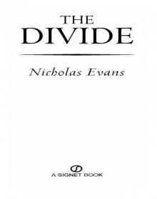      The Divide