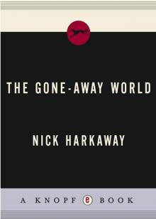      The Gone-Away World