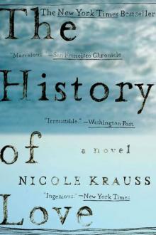      The History of Love