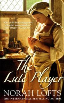      The Lute Player