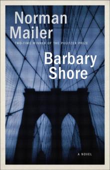      Barbary Shore