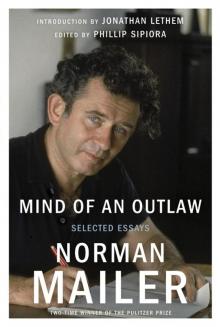      Mind of an Outlaw: Selected Essays