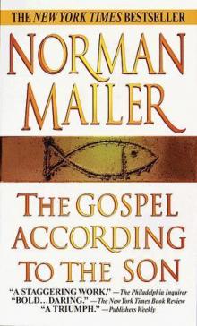      The Gospel According to the Son