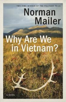      Why Are We in Vietnam?