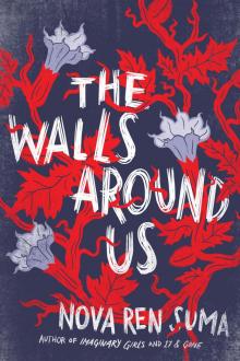      The Walls Around Us