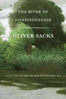      The River of Consciousness