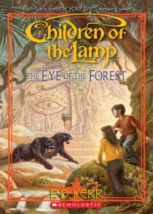      Eye of the Forest