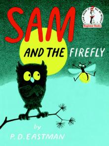      Sam and the Firefly