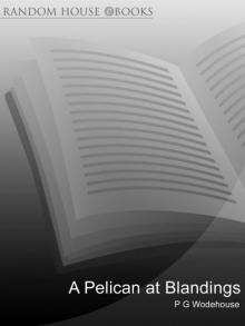      A Pelican at Blandings: