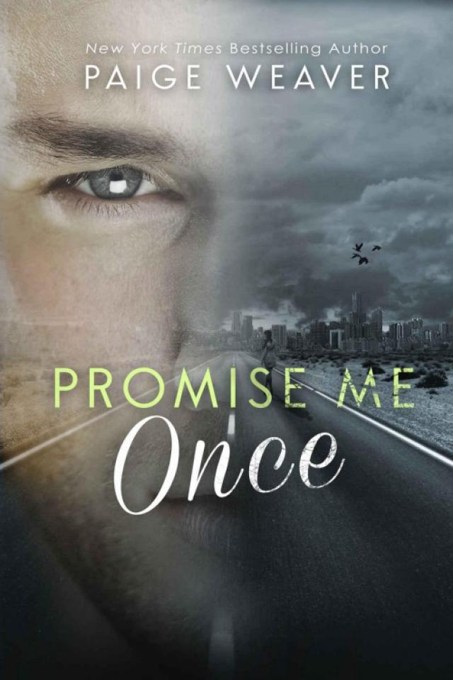 Read Promise Me Once Online Read Free Novel Read Light Novel Onlinereadfreenovel Com
