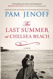      The Last Summer at Chelsea Beach