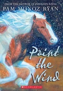      Paint the Wind