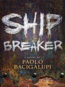      Ship Breaker