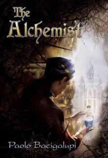      The Alchemist