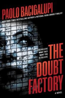      The Doubt Factory