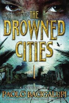      The Drowned Cities