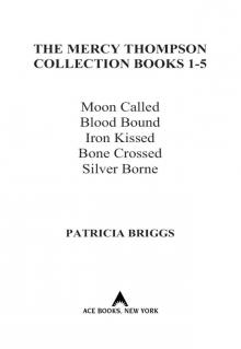      Patricia Briggs Mercy Thompson: Hopcross Jilly
