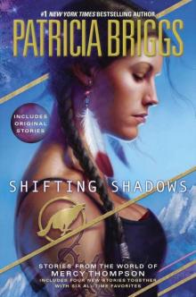      Shifting Shadows